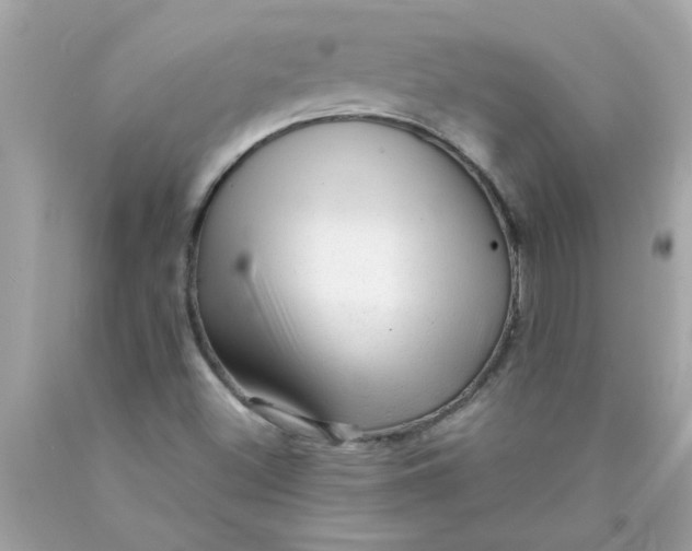X0000089951500200707201914