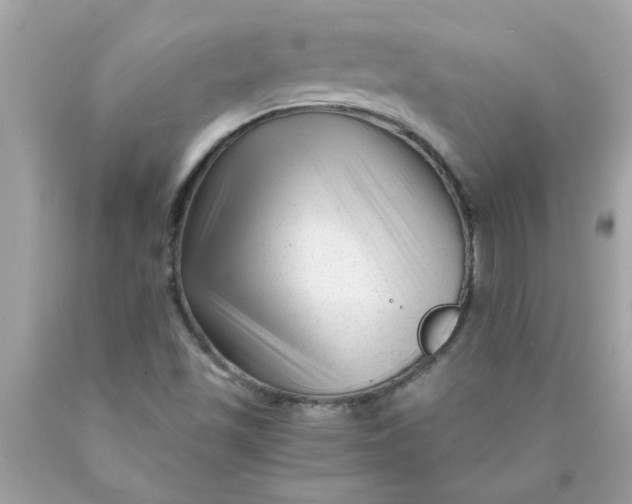 X0000089951501200707201914