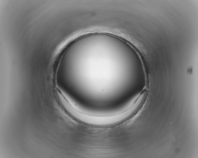 X0000089951502200707201914
