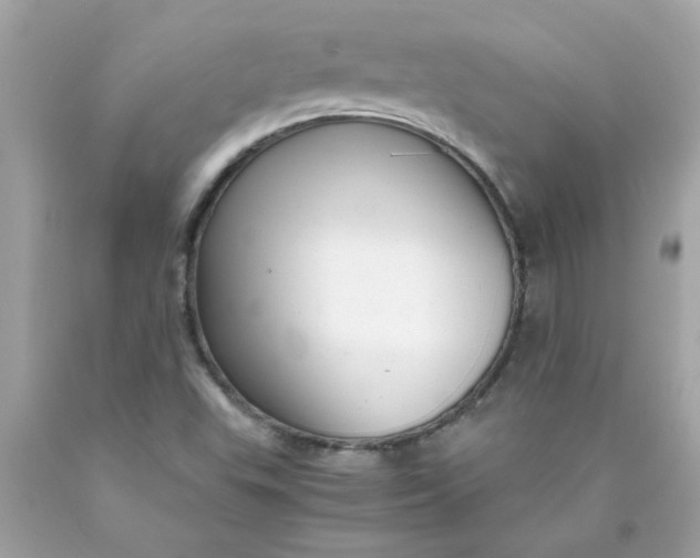 X0000089951503200707201914