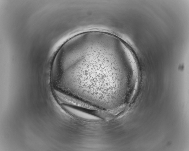 X0000089951504200707201914