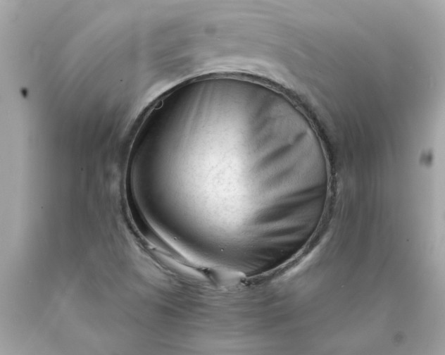 X0000089951505200707201914