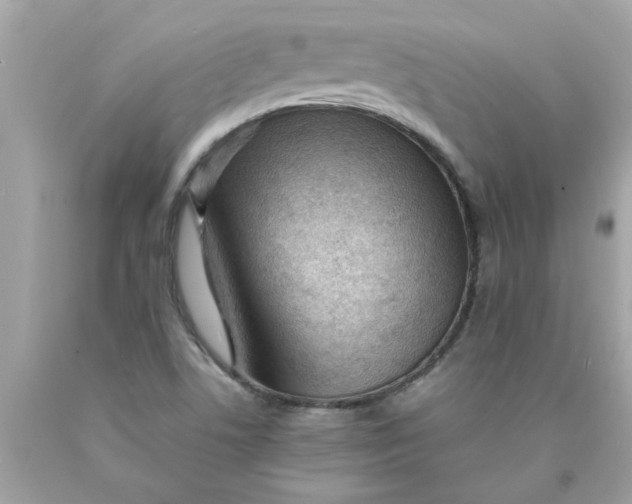 X0000089951506200707201914