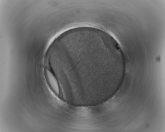 X0000089951508200707201914
