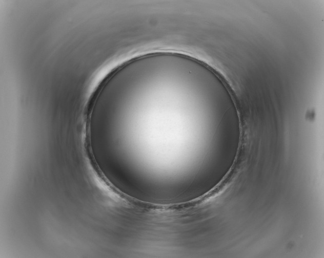 X0000089951511200707201914