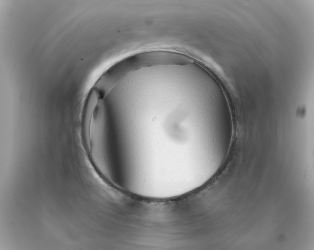 X0000089951512200707201914