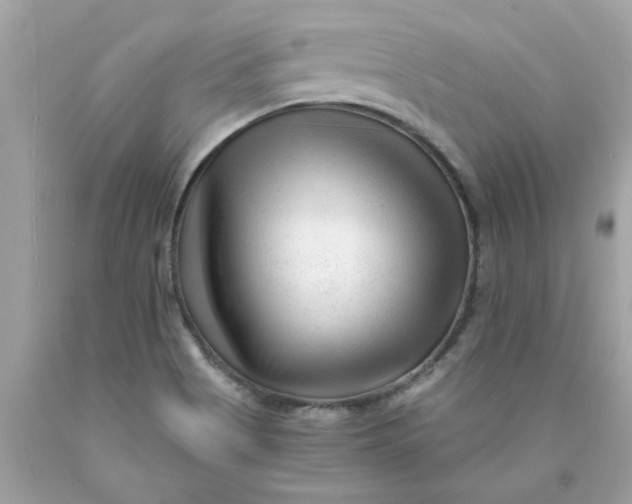 X0000089951513200707201914