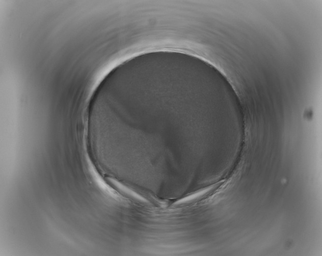 X0000089951515200707201914