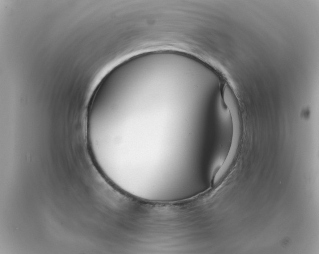 X0000089951516200707201914