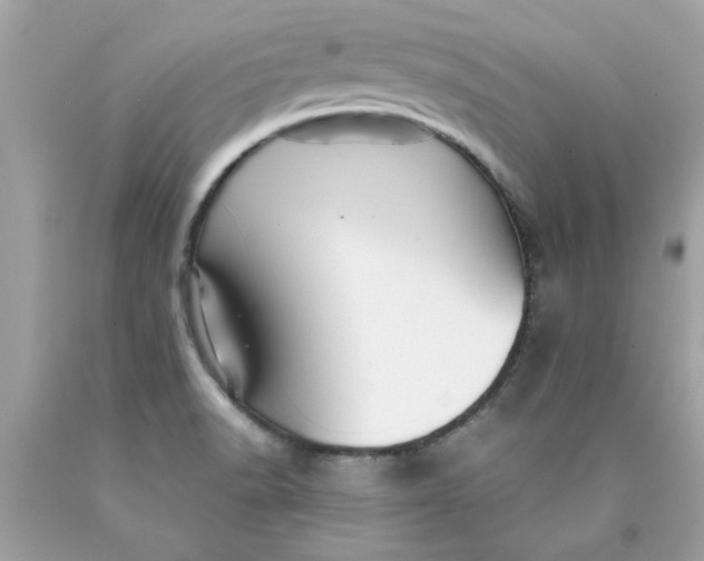 X0000089951518200707201914