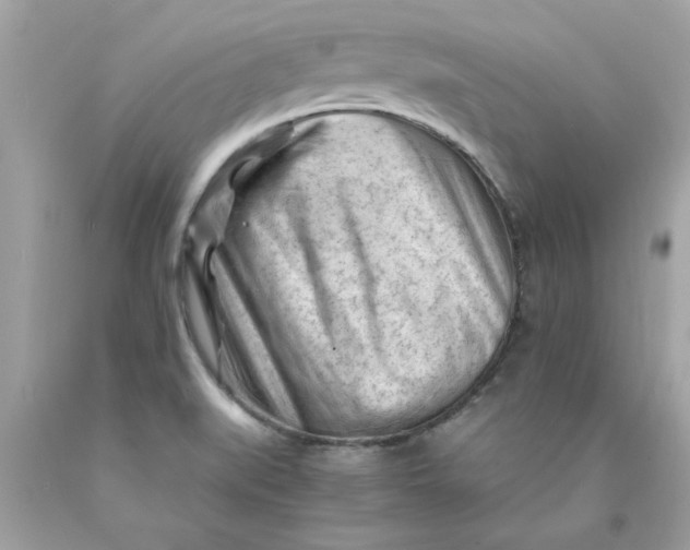 X0000089951519200707201914
