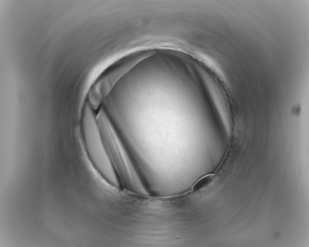 X0000089951520200707201914