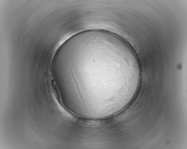 X0000089951521200707201914