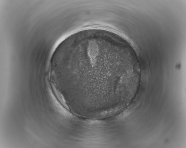 X0000089951522200707201914