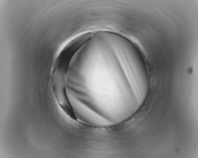 X0000089951524200707201914