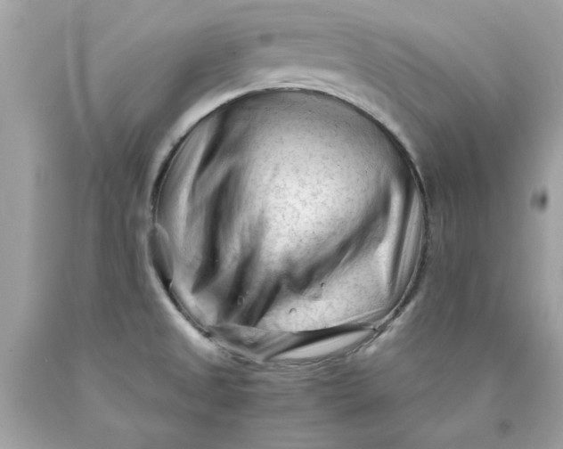 X0000089951525200707201914