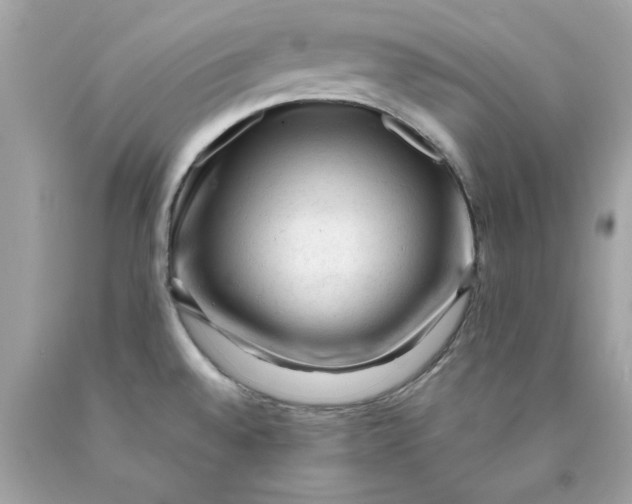 X0000089951528200707201914