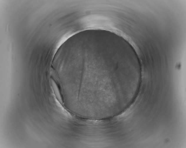 X0000089951529200707201914