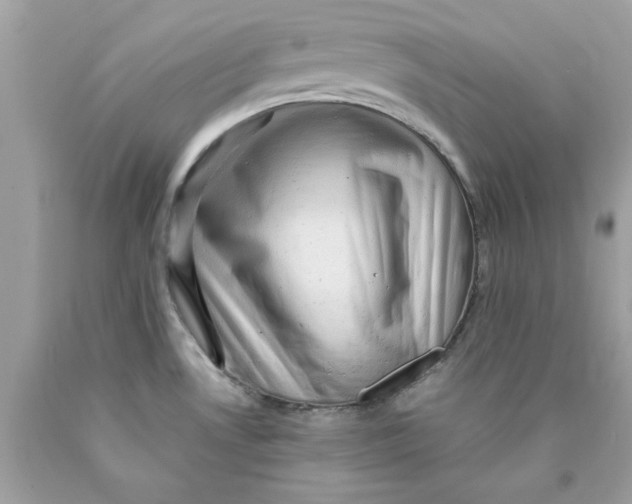 X0000089951530200707201914