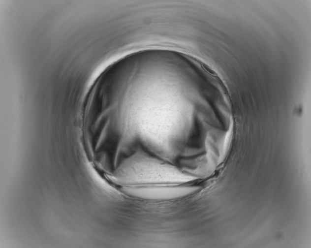 X0000089951531200707201914