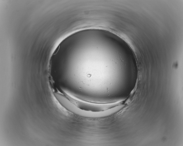 X0000089951532200707201914