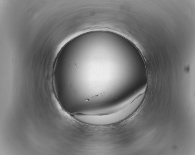 X0000089951534200707201914