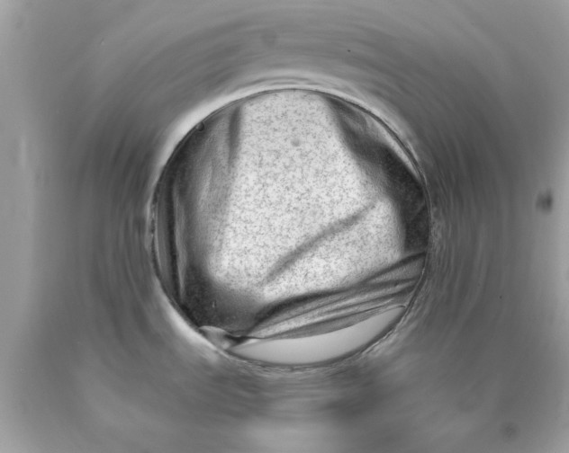 X0000089951535200707201914