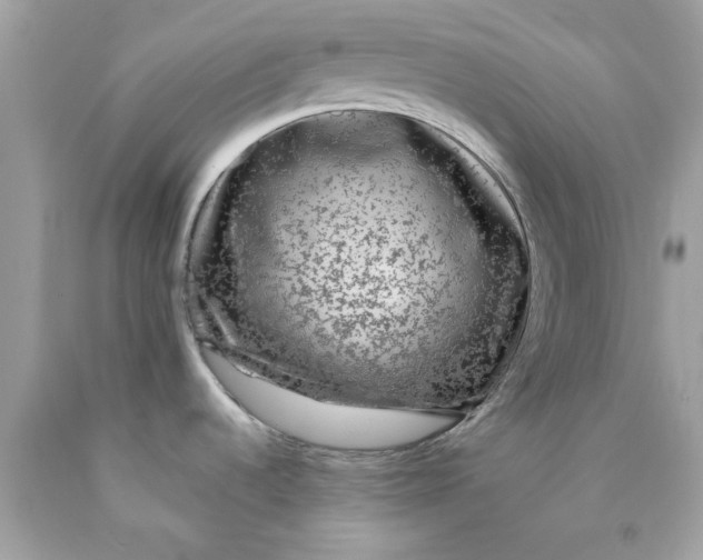 X0000089951536200707201914
