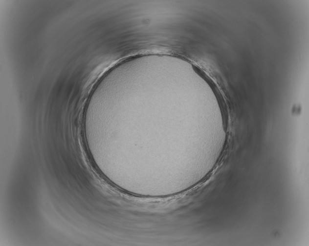 X0000089950001200707271850