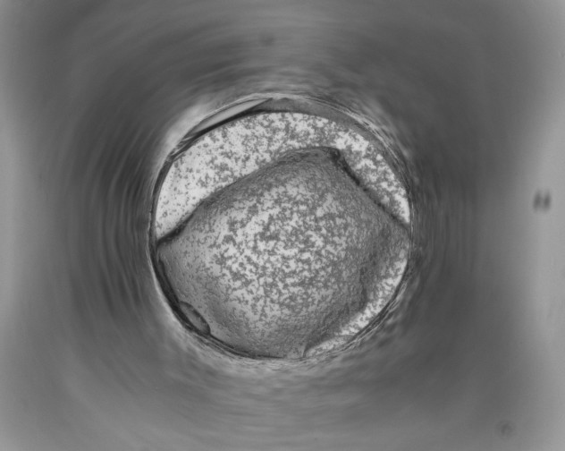 X0000089950003200707271850