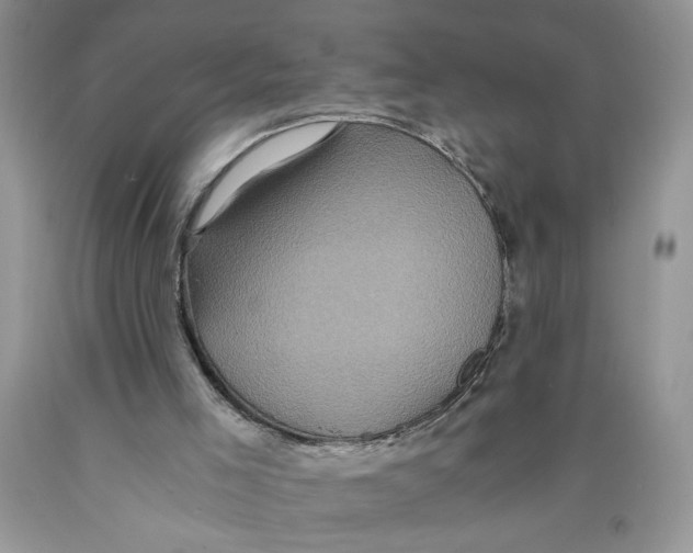 X0000089950005200707271850