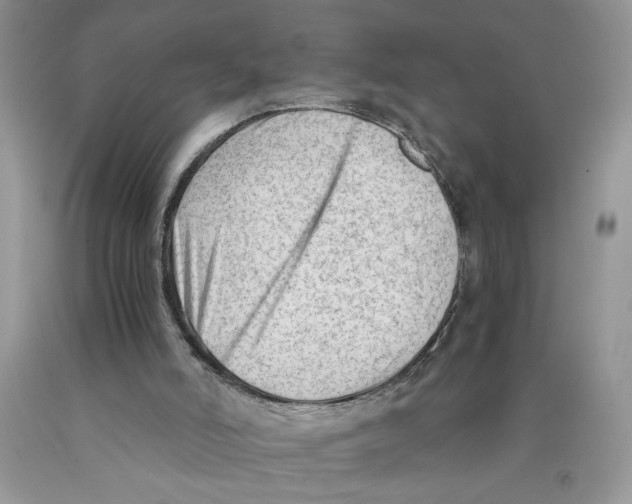 X0000089950006200707271850