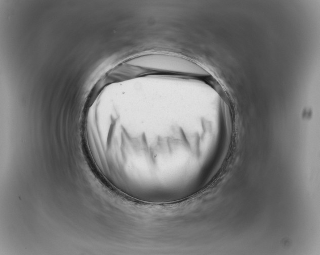X0000089950007200707271850