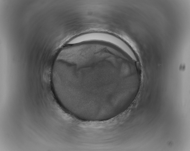 X0000089950009200707271850
