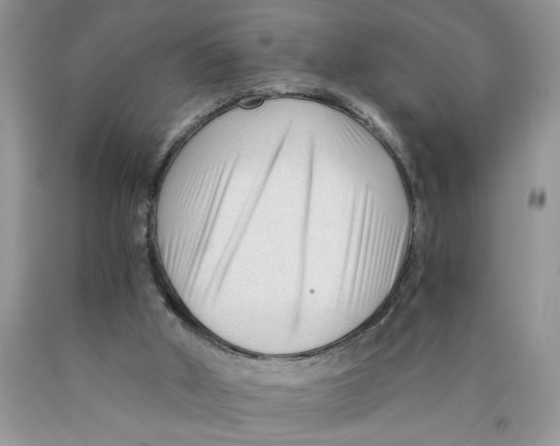 X0000089950010200707271850