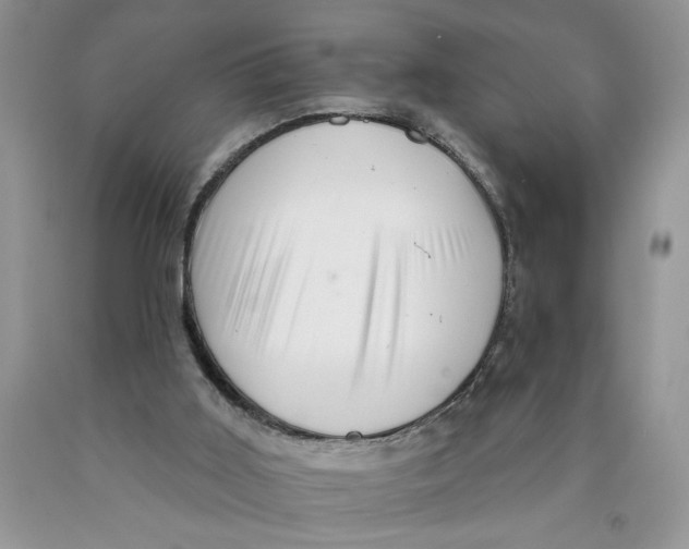 X0000089950011200707271850