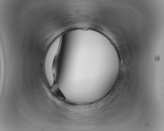 X0000089950013200707271850