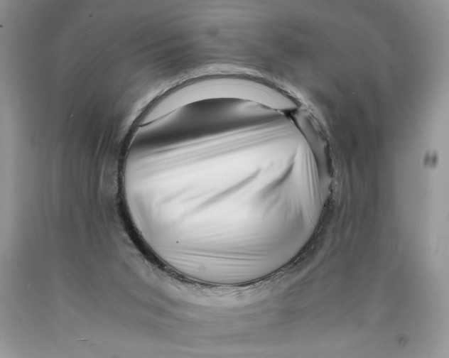 X0000089950015200707271850