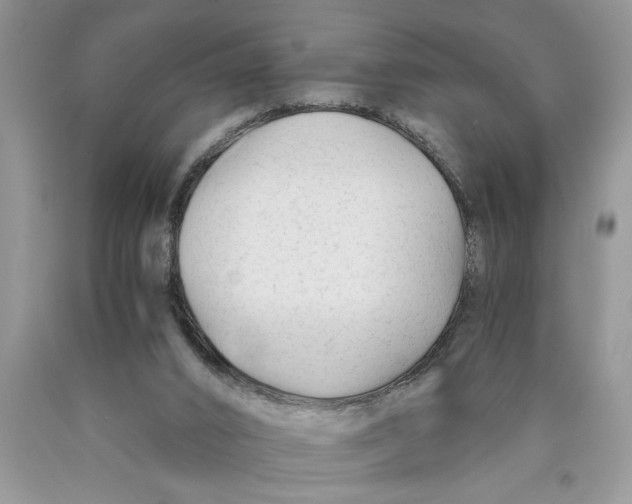 X0000089950016200707271850