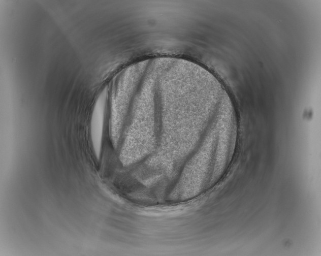 X0000089950017200707271850