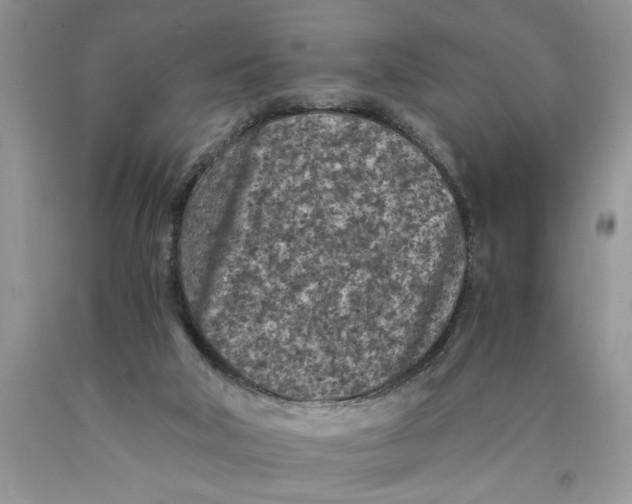 X0000089950018200707271850