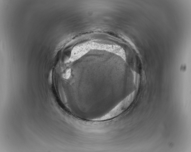 X0000089950019200707271850