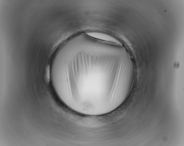 X0000089950020200707271850