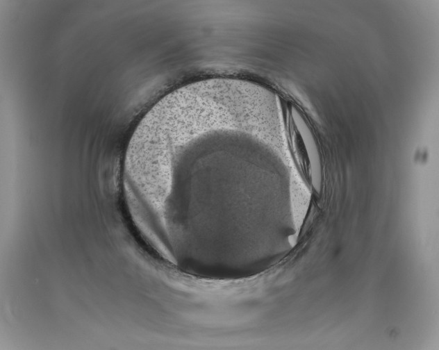 X0000089950023200707271850