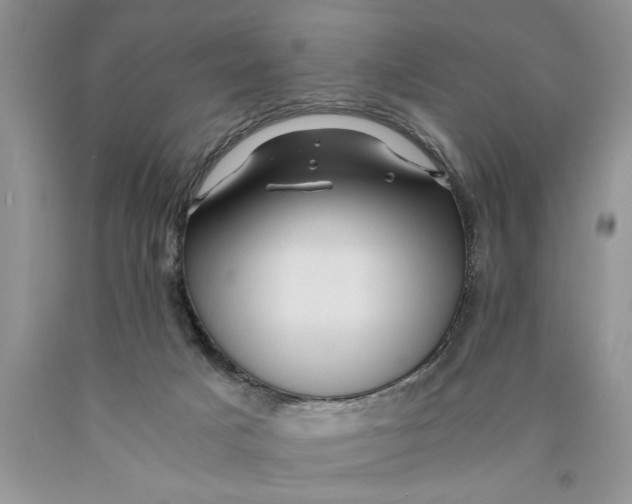 X0000089950025200707271850