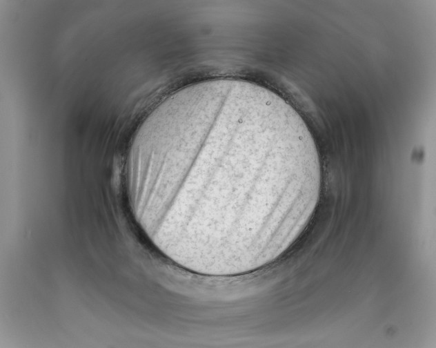 X0000089950026200707271849