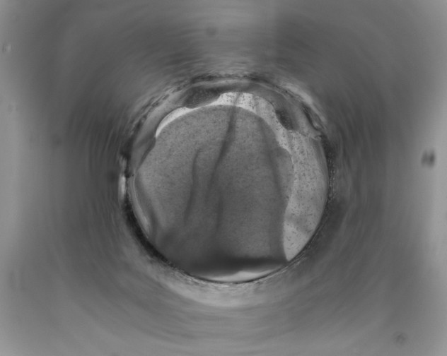 X0000089950027200707271849