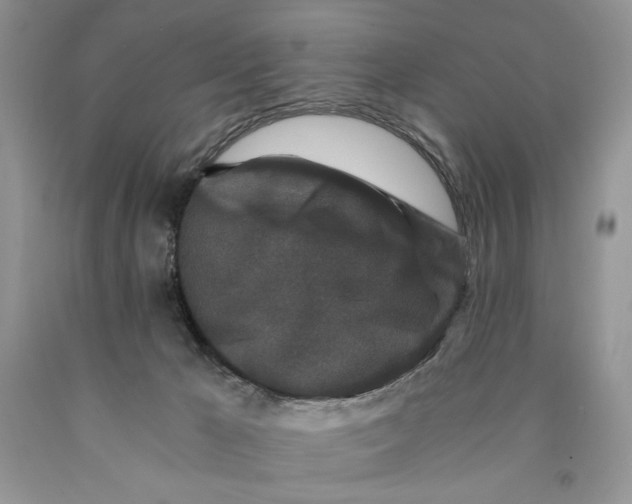 X0000089950029200707271849