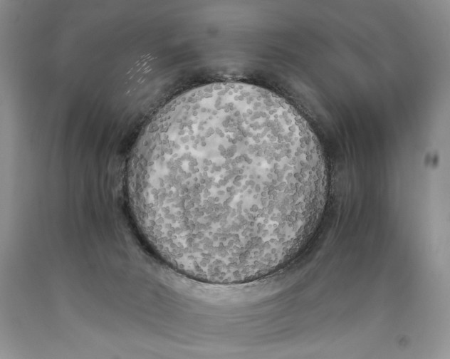 X0000089950030200707271849