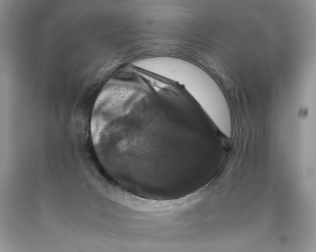 X0000089950031200707271849
